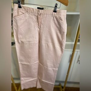 The Limited Stretch Light Pink Pants US Size 10